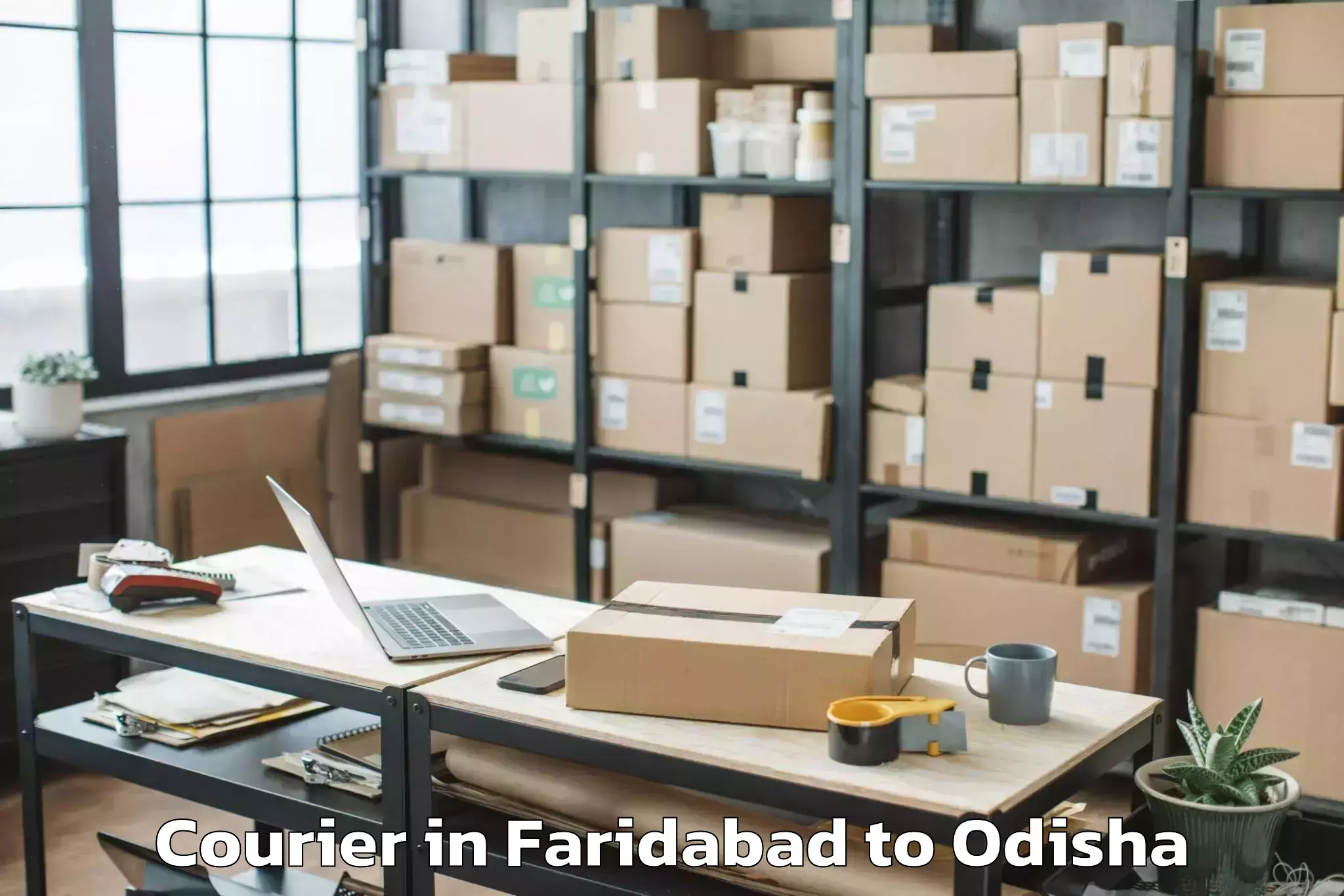 Book Your Faridabad to Banigochha Courier Today